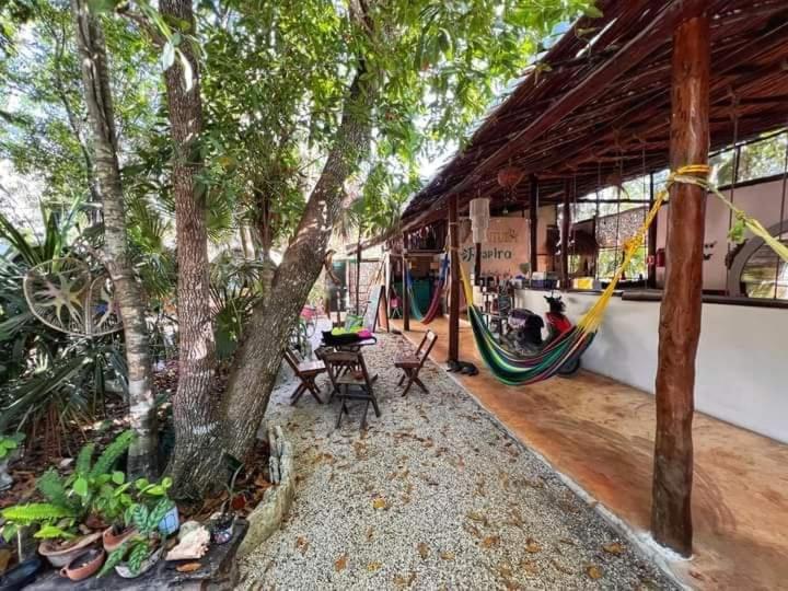 Hostal Mulut Tulum Dış mekan fotoğraf